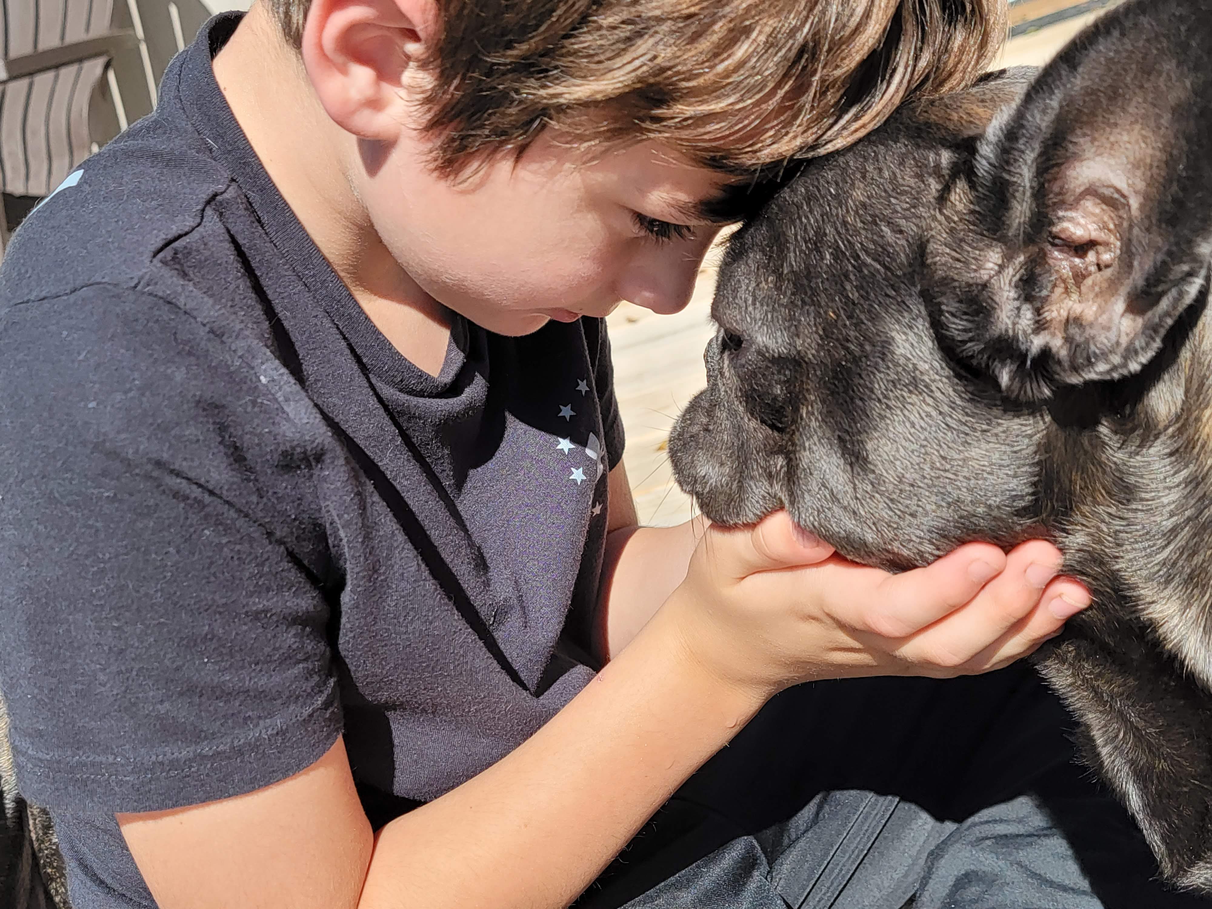 Blue Wonderbulls Bella - Image 2