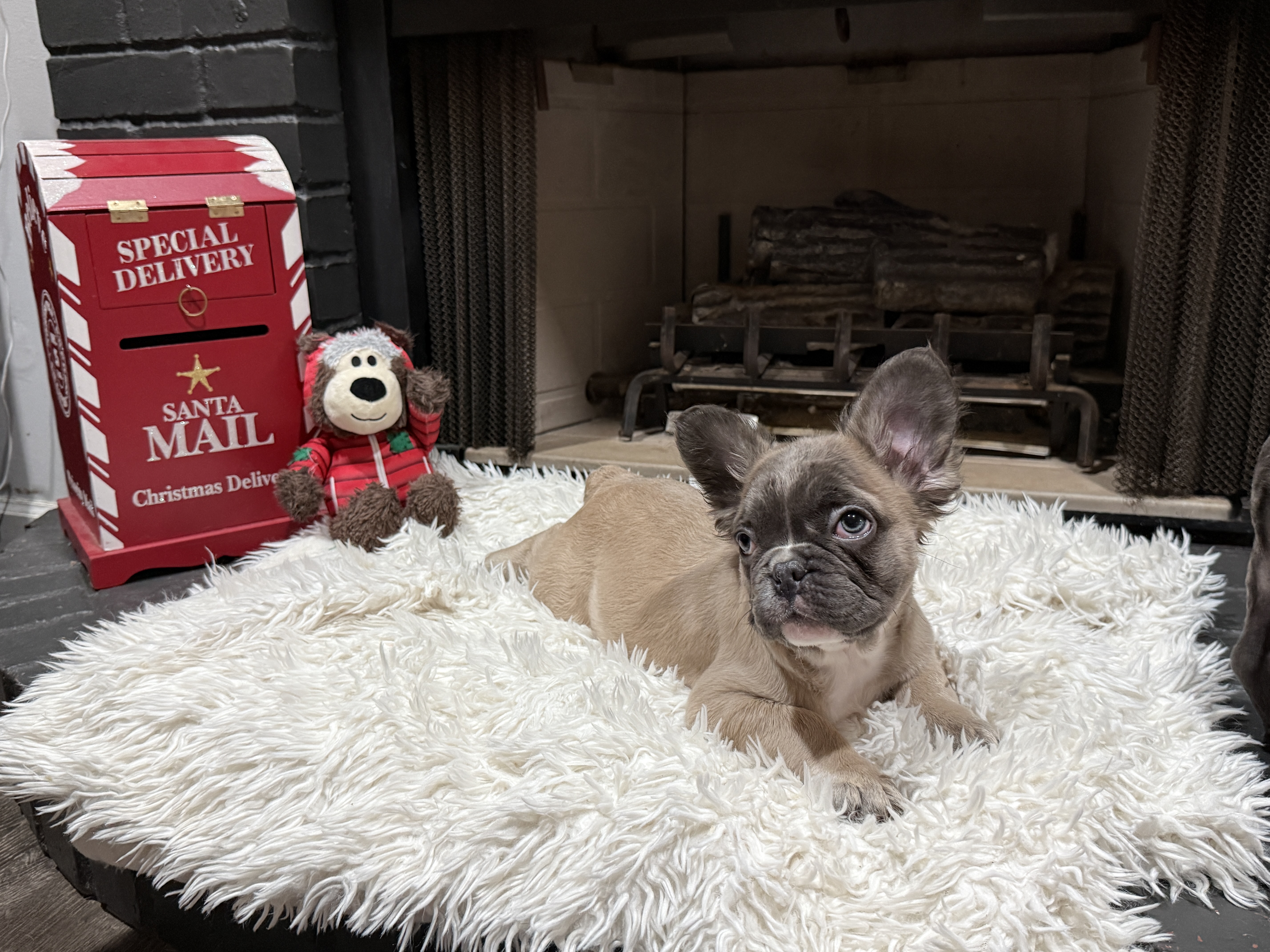 Blue Wonderbulls Junior